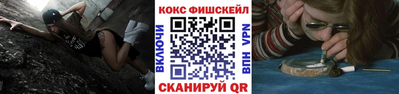 Кокаин Fish Scale  Сурск 
